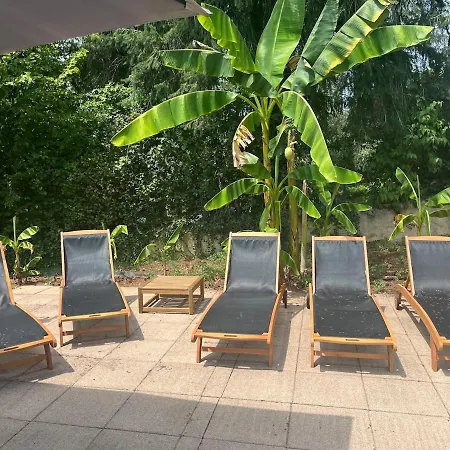 Apartment Macha Sarlat Calme Piscine Confort 4-6 Pers *